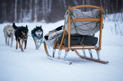 Illustration toboggans - Image 1