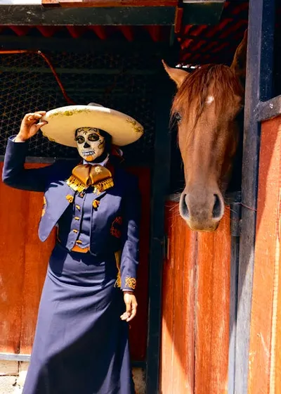 Illustration stabled - Image 2