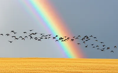 Illustration timing - Image 1