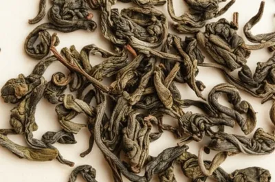 Illustration leaf - Image 1