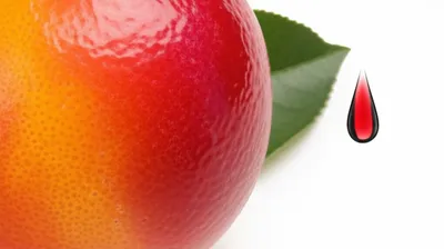 Illustration essence - Image 1