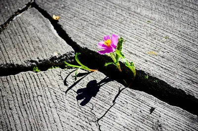 Illustration toughen - Image 1