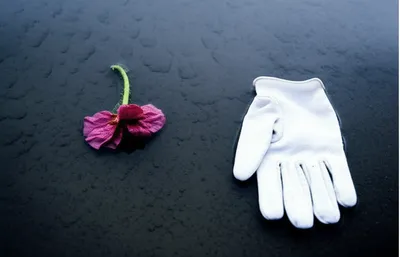 Illustration degrading - Image 1