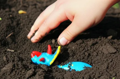 Illustration rediscovered