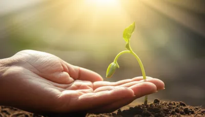 Illustration pluses - Image 1