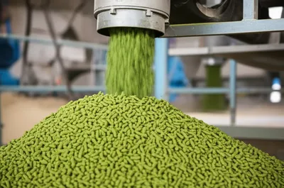 Illustration pellet - Image 1