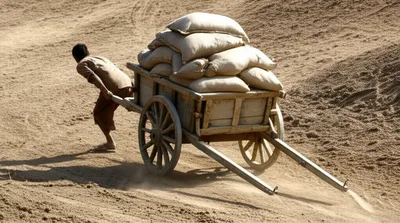 Hình ảnh minh họa trundled - Ảnh 1