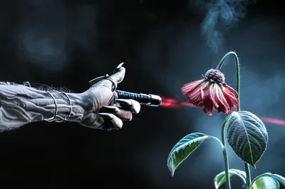 Illustration scorch - Image 1