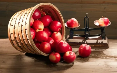 Illustration bushel - Image 1