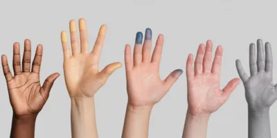 Illustration colors - Image 1