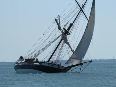 Illustration list - Image 1