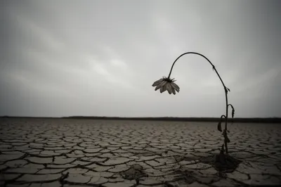 Illustration dismally - Image 1