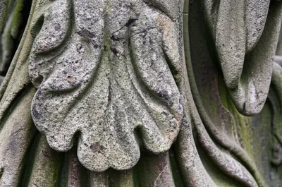 Illustration wore - Image 1