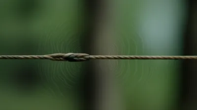 Illustration twangs - Image 1