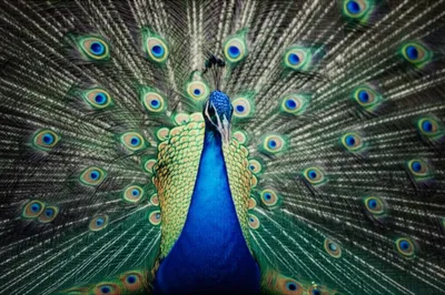 Illustration sport - Image 1