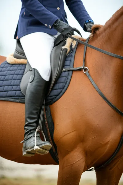 Illustration twister - Image 1