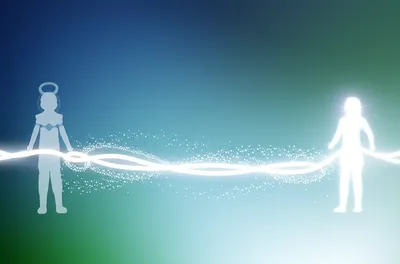 Illustration trans - Image 1