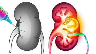 Illustration enhance - Image 1