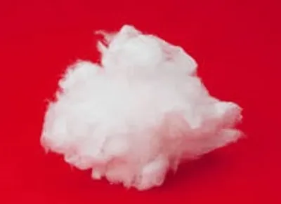 Illustration wad - Image 3