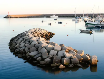 Illustration moles - Image 1