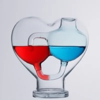 Illustration circulatory