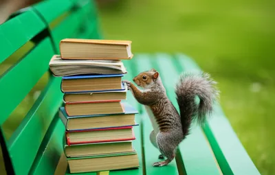 Illustration mischievously