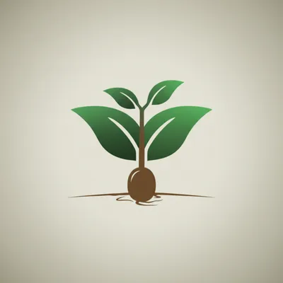 Illustration formation - Image 1