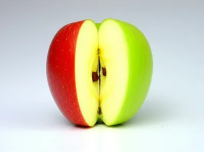 Illustration halved - Image 1