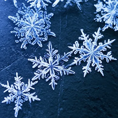 Illustration sticks - Image 1