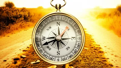 Illustration bagged - Image 1