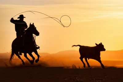 Illustration rope - Image 1