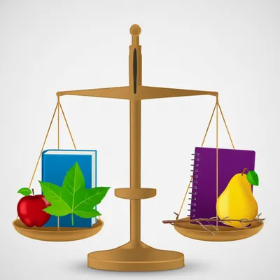 Illustration equations