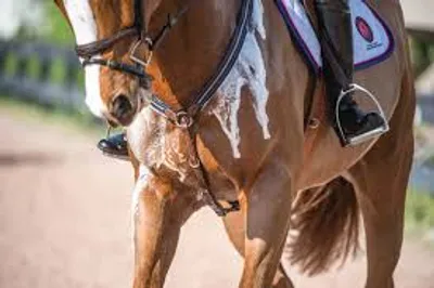 Illustration lather - Image 2