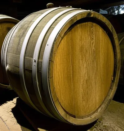 Illustration bilge - Image 1