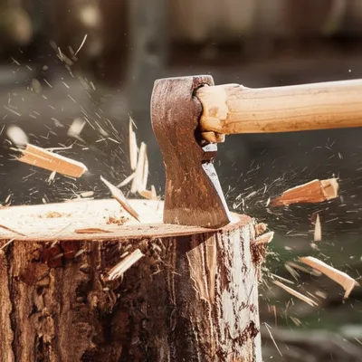 Illustration chops - Image 1