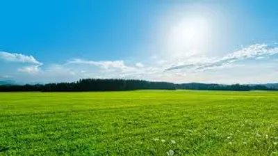 Illustration fine - Image 3