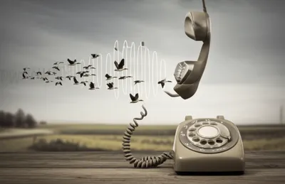 Illustration honker - Image 1