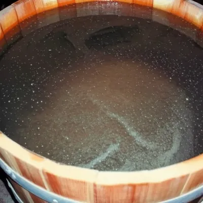 Illustration settlers - Image 1