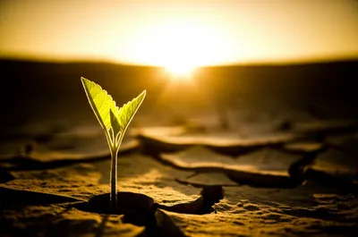 Illustration awakening - Image 1