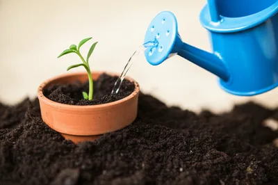 Illustration initialise - Image 1