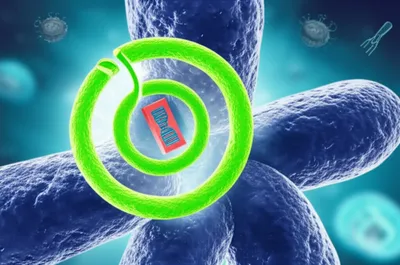 Illustration plasmid - Image 1