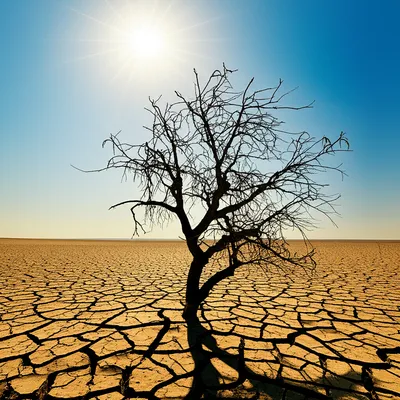 Illustration impoverished - Image 1