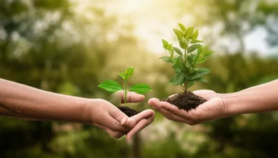 Illustration quit - Image 1