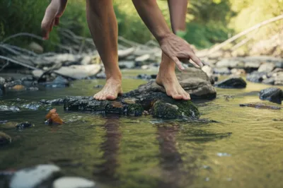 Illustration coon - Image 1