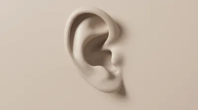 Illustration ere - Image 1