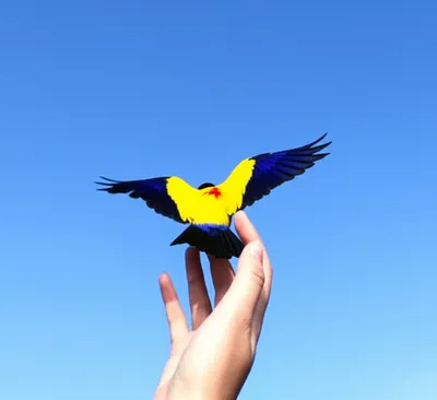 Illustration letting - Image 1