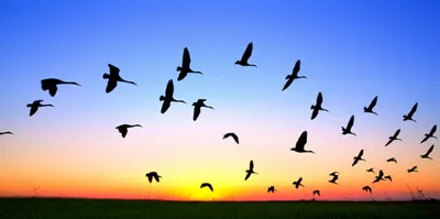 Illustration loft - Image 1