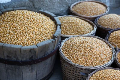 Illustration bolls - Image 1