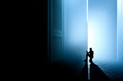 Illustration stays - Image 1