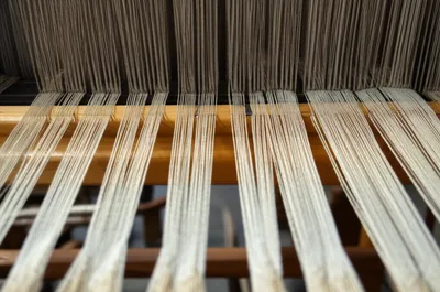 Illustration shedding - Image 1